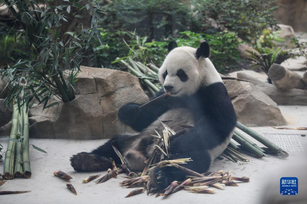 必威官网亚洲
